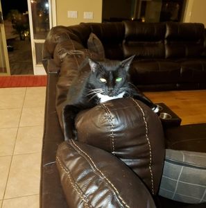 Meet your Posher, Ryan